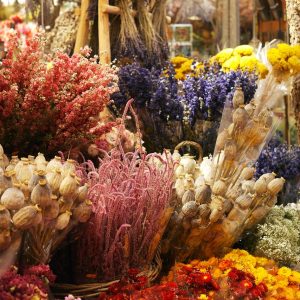 fleuriste melrand l'aura des fleurs bouquet fleurs sechées